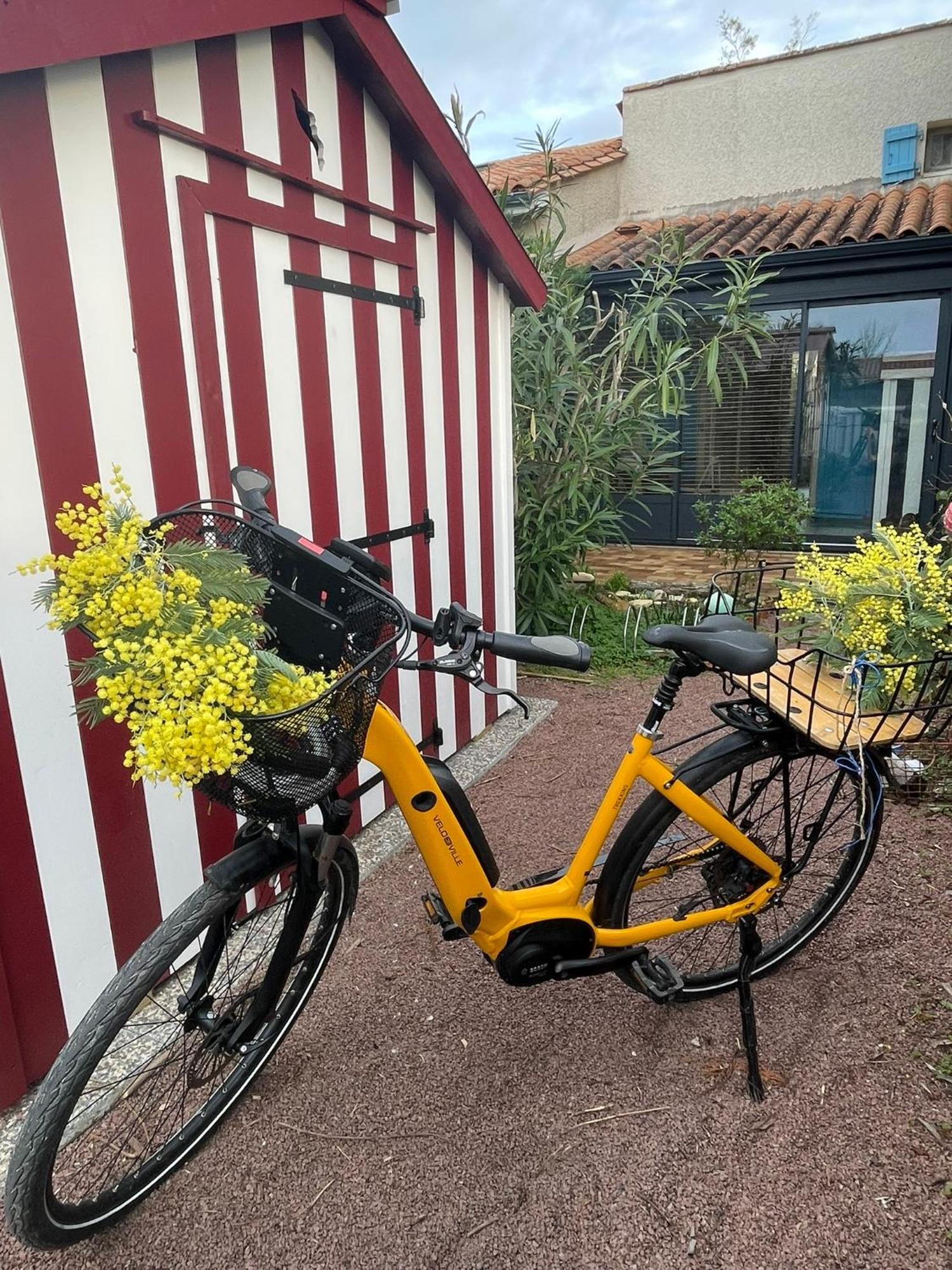 Vila Les Mimosas Saint-Trojan-les-Bains Exteriér fotografie